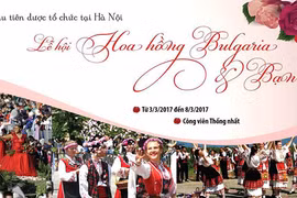 Record rose fest to bloom in Hanoi