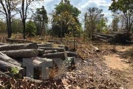 Workshop seeks to expand forest resource monitoring system by tablets