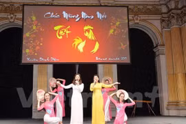 Overseas Vietnamese celebrate traditional Tet festival