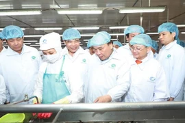 PM tours shrimp processing corporation in Ca Mau