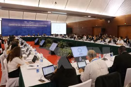 Sixth working day of SOM 2 and related meetings