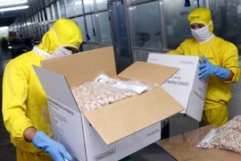 Vietnam works to realise export target of 188 billion USD