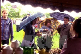 Vietnamese cuisine wins increasing popularity in Czech