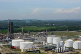  Sovico, BSR in investment talks