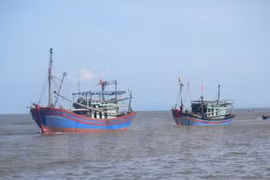 VASEP, Vietnam Coast Guard step up cooperation against illegal fishing