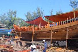 Thua Thien – Hue: fishermen effectively use compensation