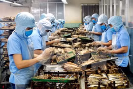 Vietnam’s aquatic product exports hit 2.8 billion USD 