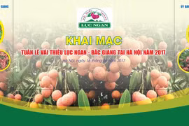 Luc Ngan lychee week opens in Hanoi