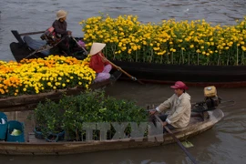 Cai Rang Floating – A must-see place in Mekong Delta