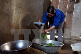 CHOBA project continues improving rural sanitation
