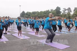 Mass yoga demonstration attracts crowds in Vinh Phuc