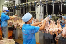 First batch of Vietnam poultry products to be sold in Japan