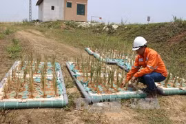 Firms urged to assume social responsibility 