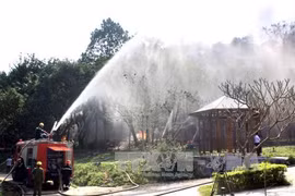 Phu Tho eager for Hung Kings Temple festival