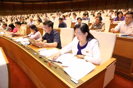 Bills on guard force, weapon management go through NA