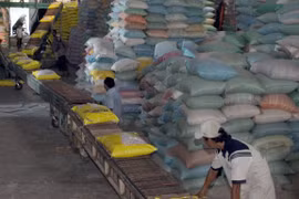 Vietnam rice industry should focus on quality: experts