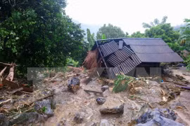 Japan donates relief aid to Vietnamese flood-hit localities 