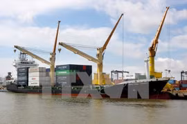 Vinalines to cut seaport stake