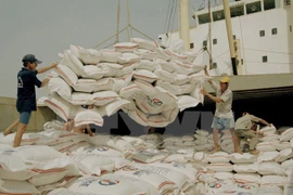 Philippine ban worries Vietnamese rice exporters