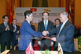  Vietnam, Brunei develop trade relations