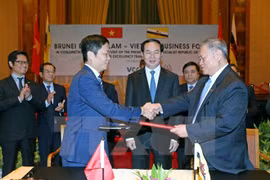  Vietnam, Brunei develop trade relations