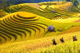 Vietnam named among 20 most beautiful countries