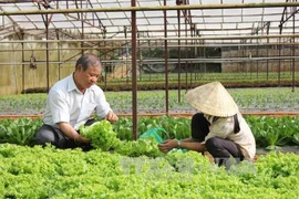 Asia-Pacific cooperative ministers’ conference to run in Hanoi