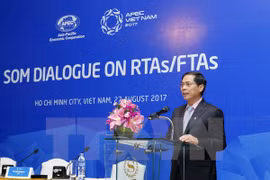 APEC economies share experience in engaging in RTAs/FTAs