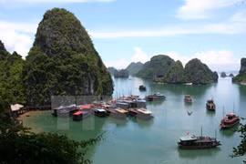 Quang Ninh develops OCOP into important economic scheme 