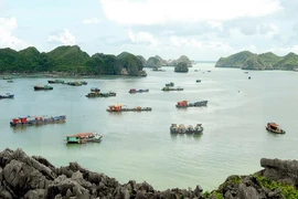 Work starts for big tourism complex in Cat Ba Islands 