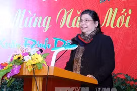 Vice NA Chairwoman meets overseas Vietnamese in New York