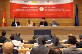 Deputy PM chairs Vietnam-Spain business forum 