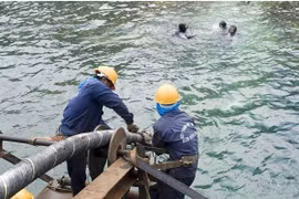 APG submarine cable broken, Internet connection affected