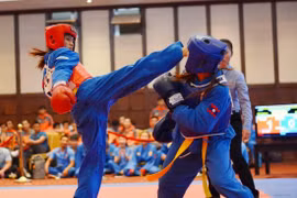 Vietnamese dominate regional Vovinam champs