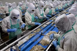 EU issues yellow card warning to Vietnam over fisheries exploitation 