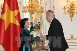 NA Chairwoman meets Czech President