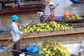 Can Tho works to develop Cai Rang floating market