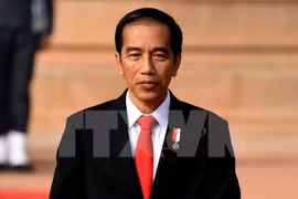 Indonesia, Australia may conduct joint patrols in East Sea