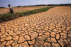 Southern region to see less drought, more rain in 2017 dry season