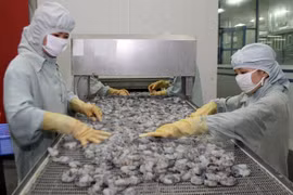 China intensifies import of Vietnamese farm produce