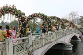 Bulgaria rose fest opens in Hanoi