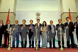 India hopes to beef up ties with HCM City