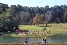 Myanmar strives to build ASEAN flower city