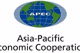 Logistics preparations for APEC 2017 launched 