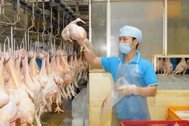 Vietnamese chicken breast to be exported to Japan