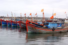 Over 2 trillion VND to support fishermen in Quang Binh