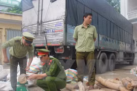 Thanh Hoa seizes nearly 2 tonnes of suspected ivory