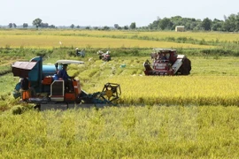 Australia seeks hi-tech agriculture link with Mekong Delta 