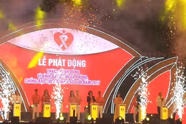 Vietnam fights violence against women and girls