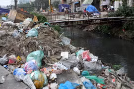 Finnish firm pours over 33 million USD into clean energy project in Hanoi
